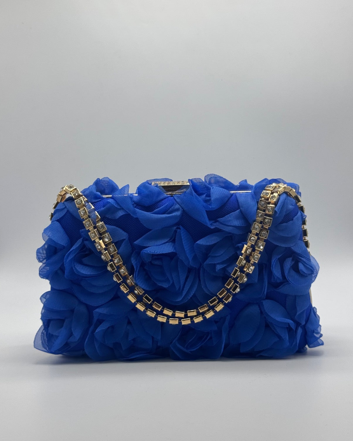 Clutch/bolso CV1A105