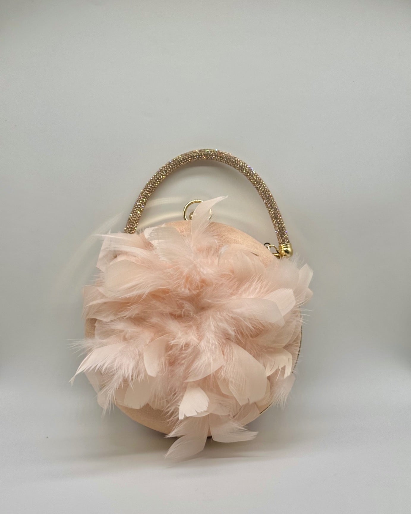 Clutch/bolso CV1A225