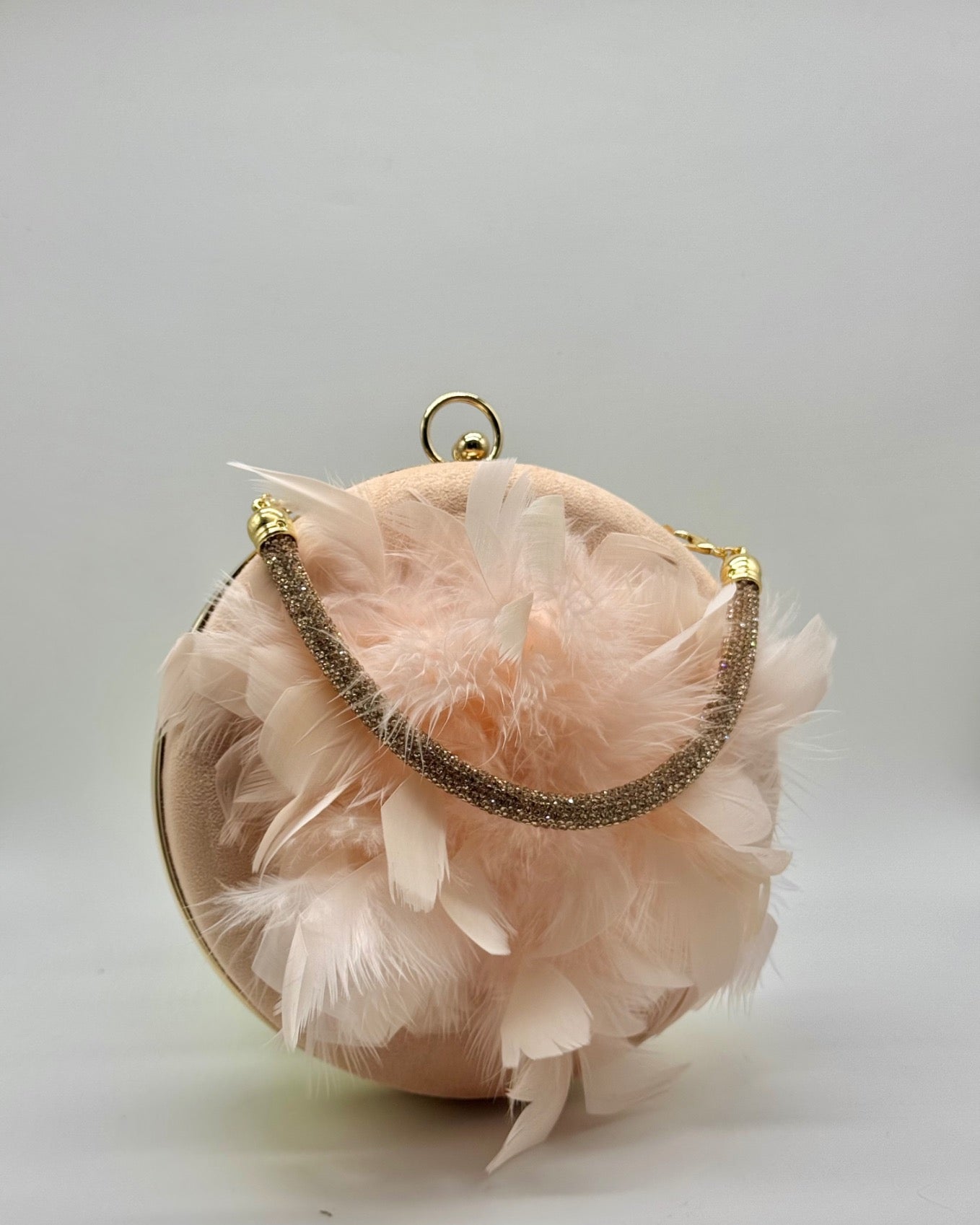 Clutch/bolso CV1A225