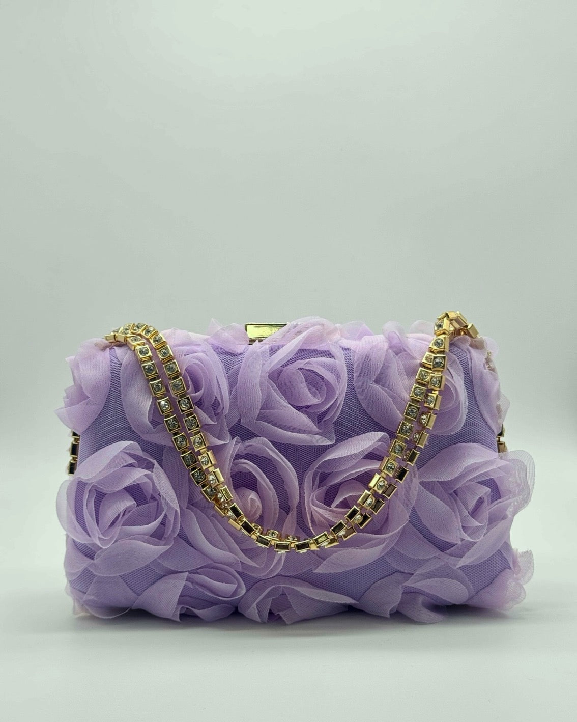 Clutch/bolso CV1A105