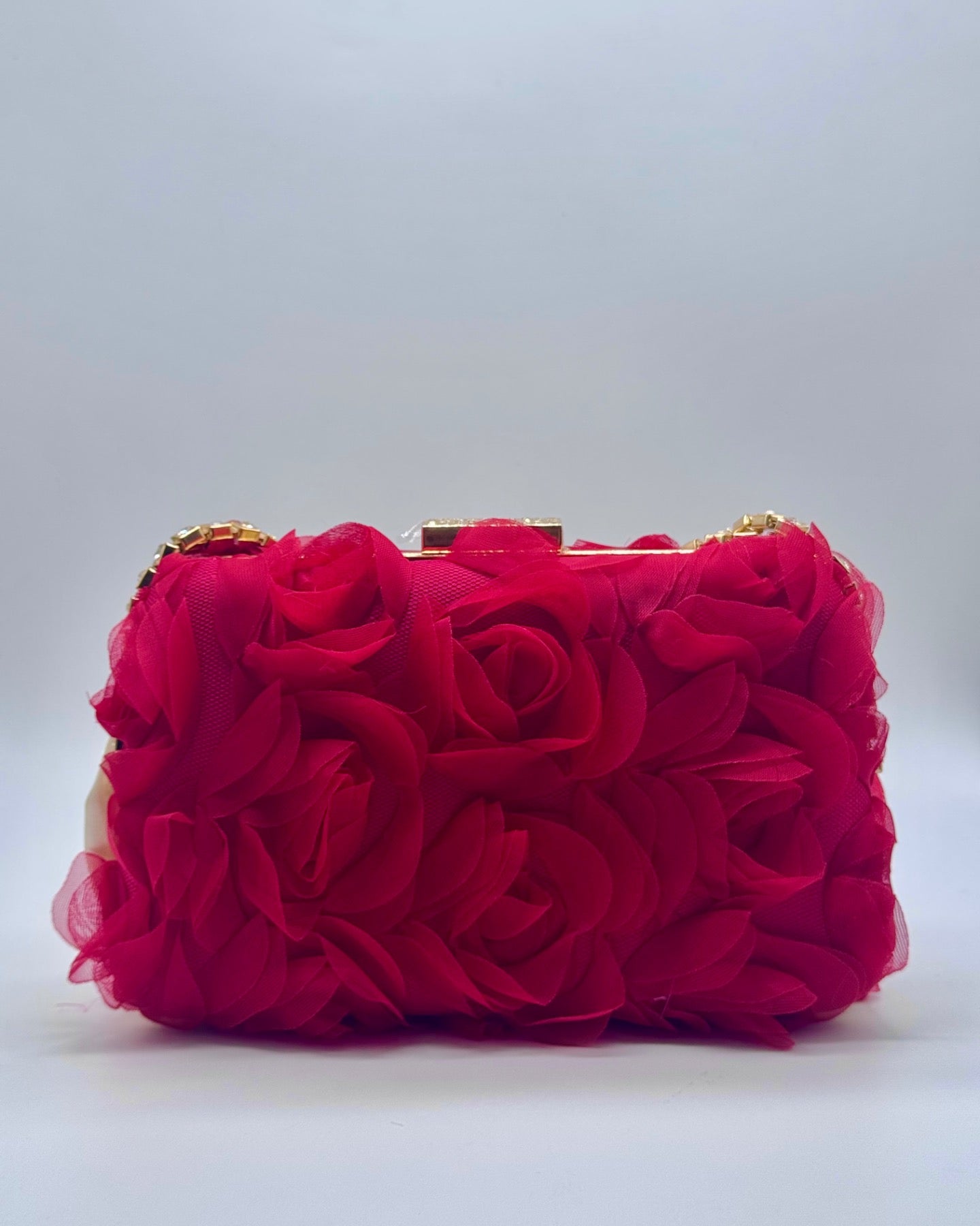 Clutch/bolso CV1A105