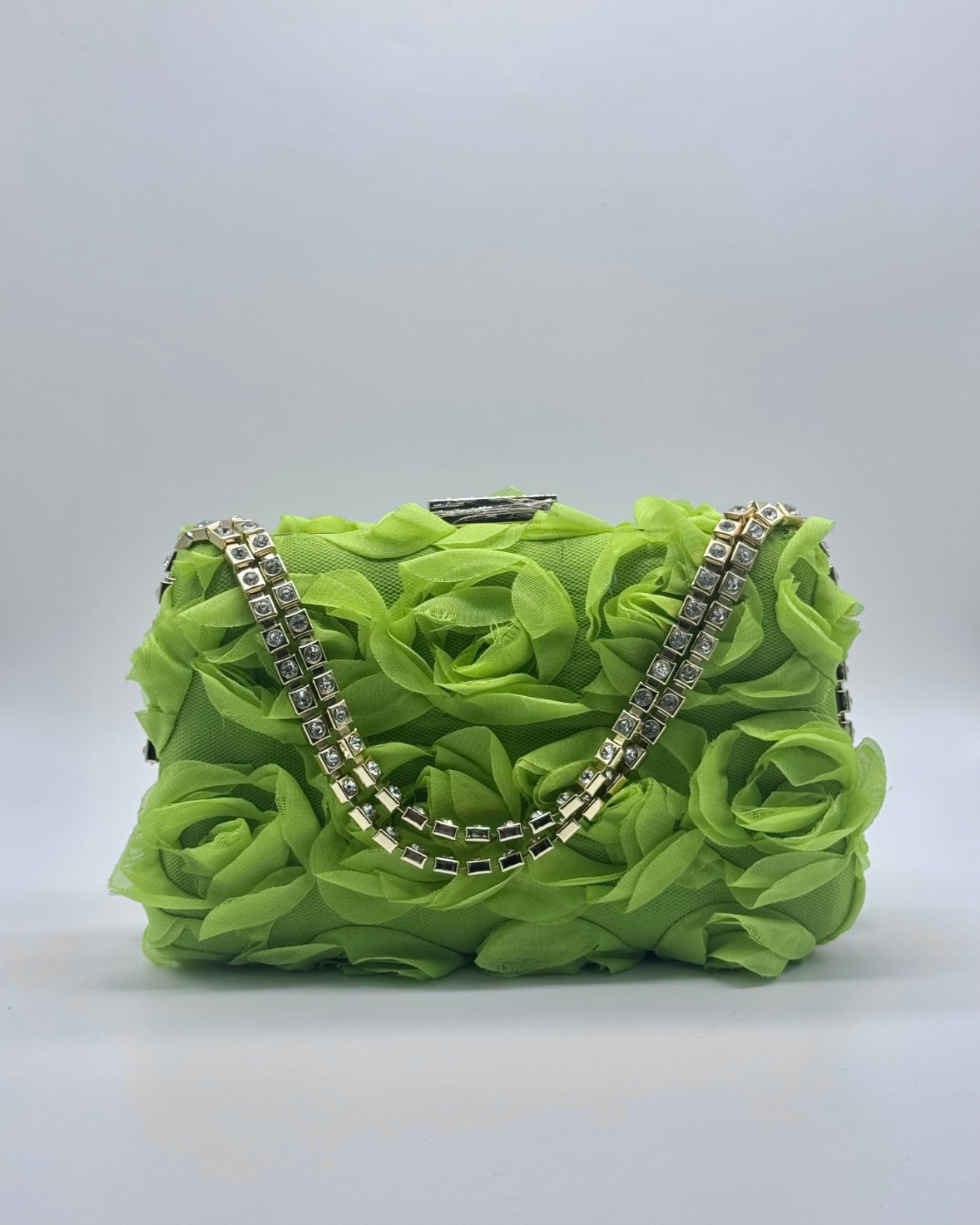 Clutch/bolso CV1A105