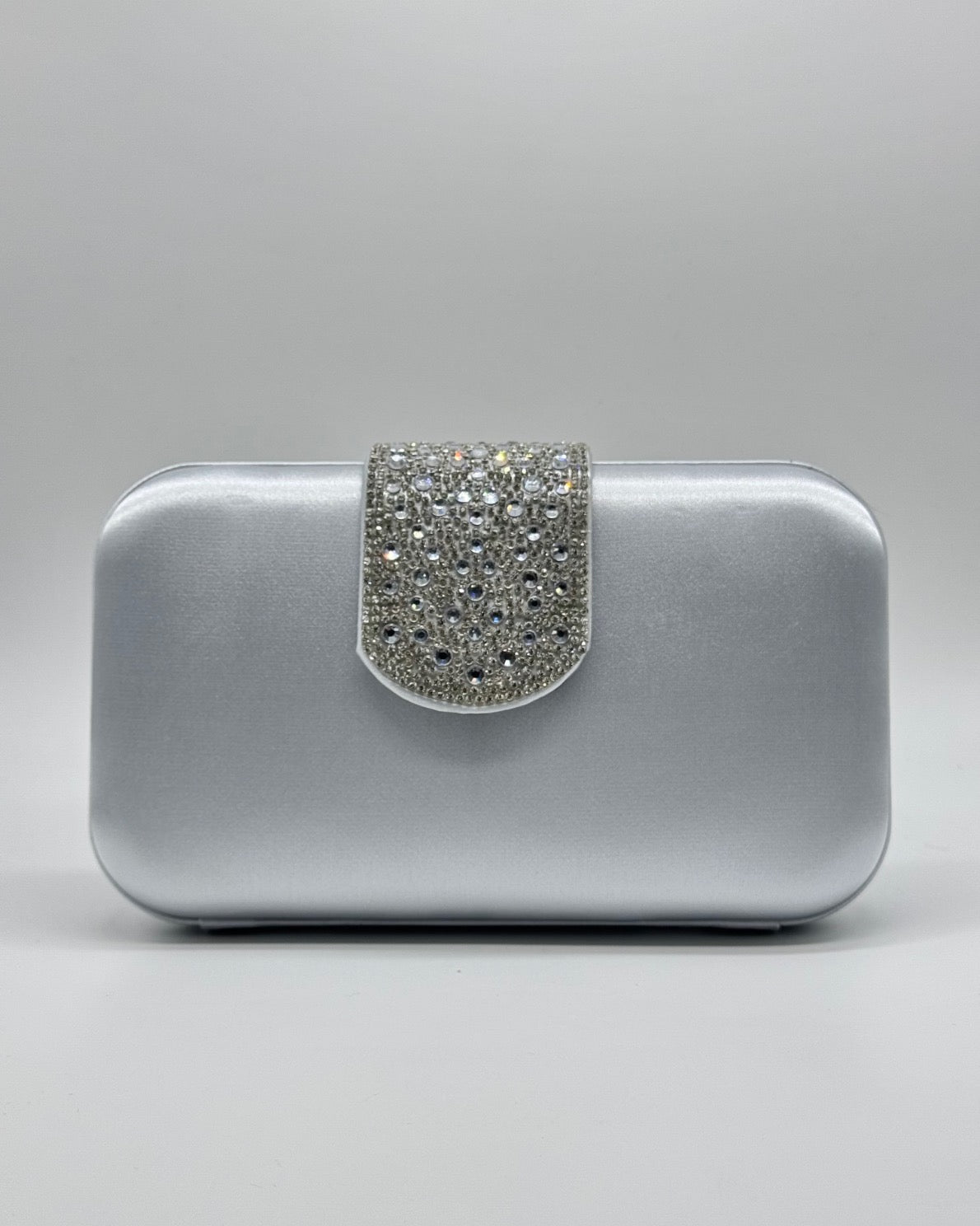 Bolso de fiesta BR4133