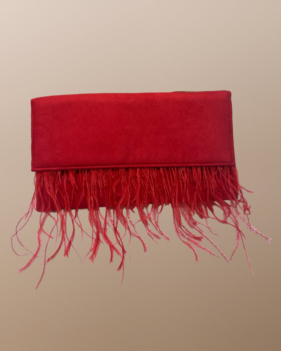 Bolso de mano BR4085