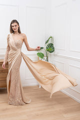 Long dress TL-90