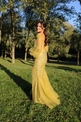 Vestido sirena con mangas TL-0804