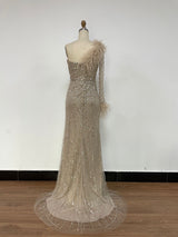 Vestido bordado con pedreria y plumas TL-5001