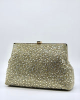 Rhinestone clutch/bags BR4006