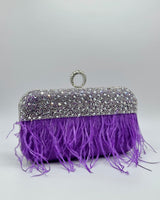 Bolso de fiesta BR4128