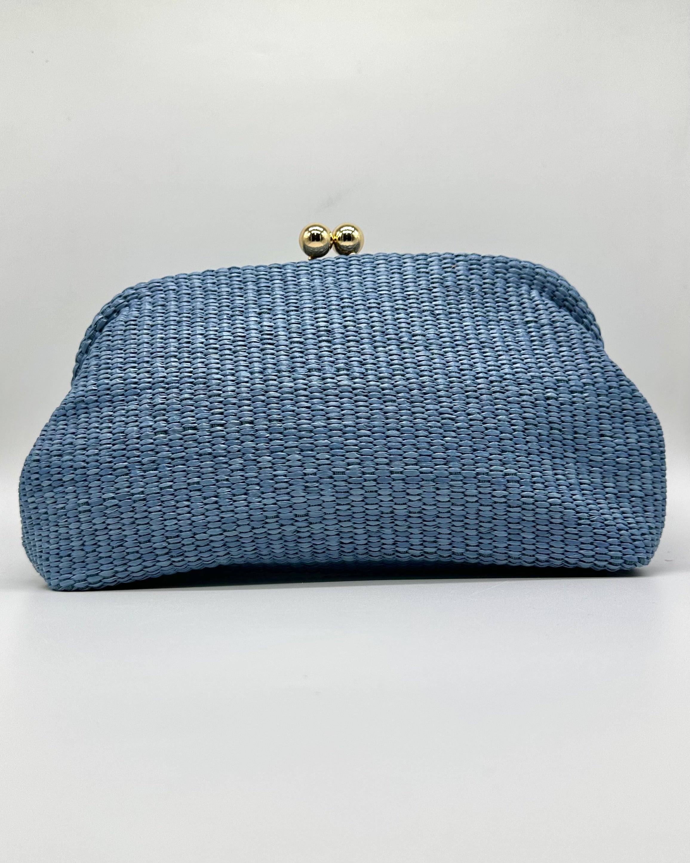 Bolso de fiesta CV1A289