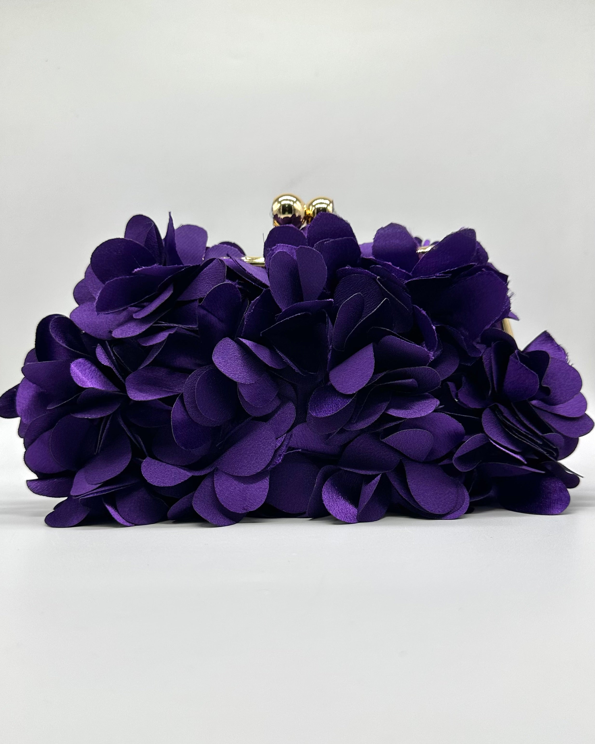 Bolso de fiesta CV1A272