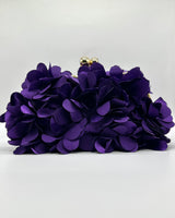 Bolso de fiesta CV1A272