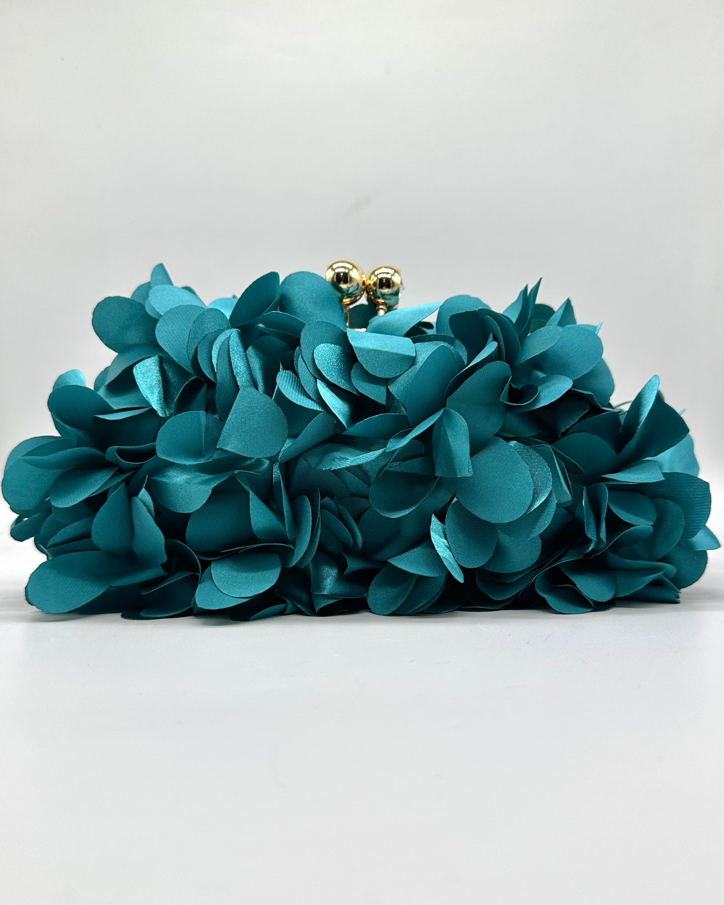 Bolso de fiesta CV1A272