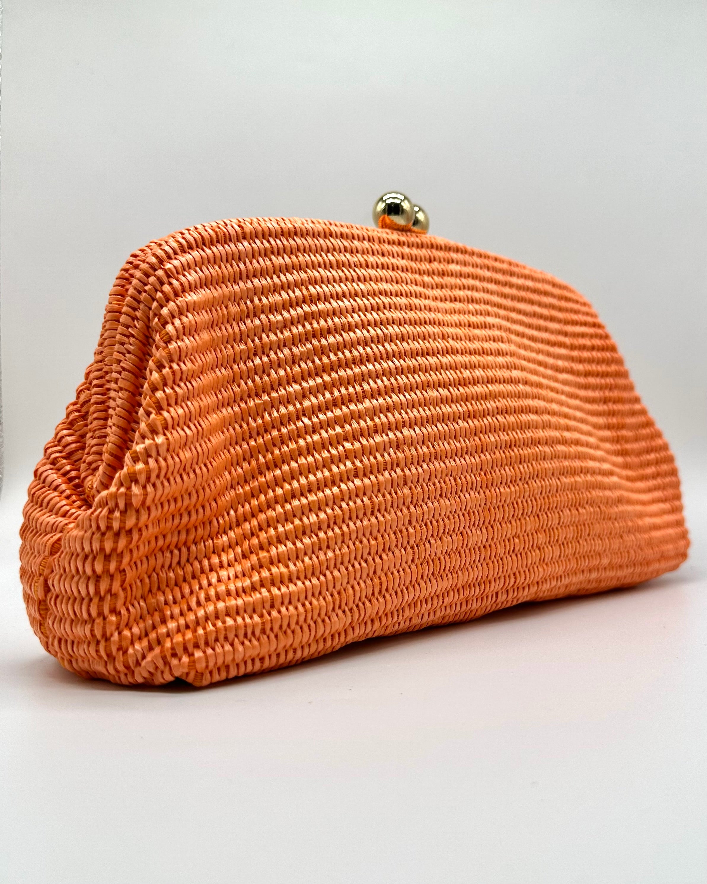 Bolso de fiesta CV1A289