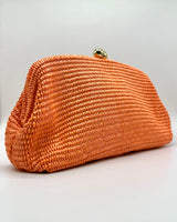 Bolso de fiesta CV1A289