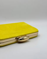 Bolso de fiesta CV1A023