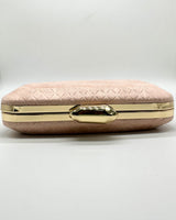 Bolso de fiesta CV1A032