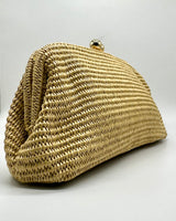 Bolso de fiesta CV1A289