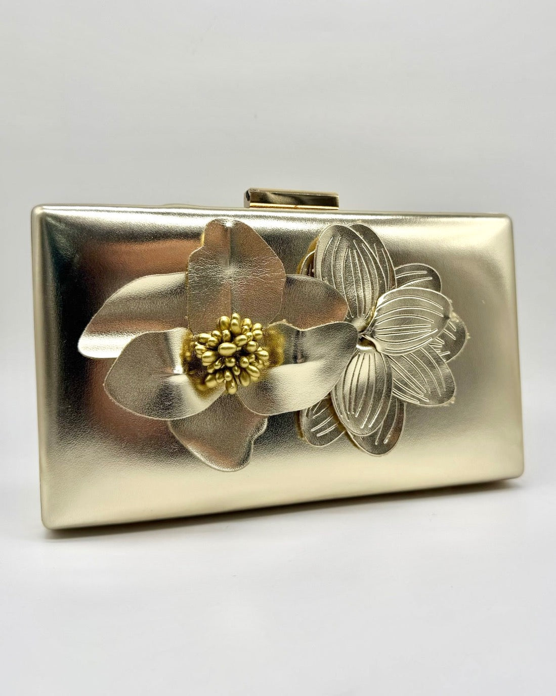 Clutch/bolso CV1A237