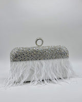 Bolso de fiesta BR4128