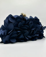 Bolso de fiesta CV1A272