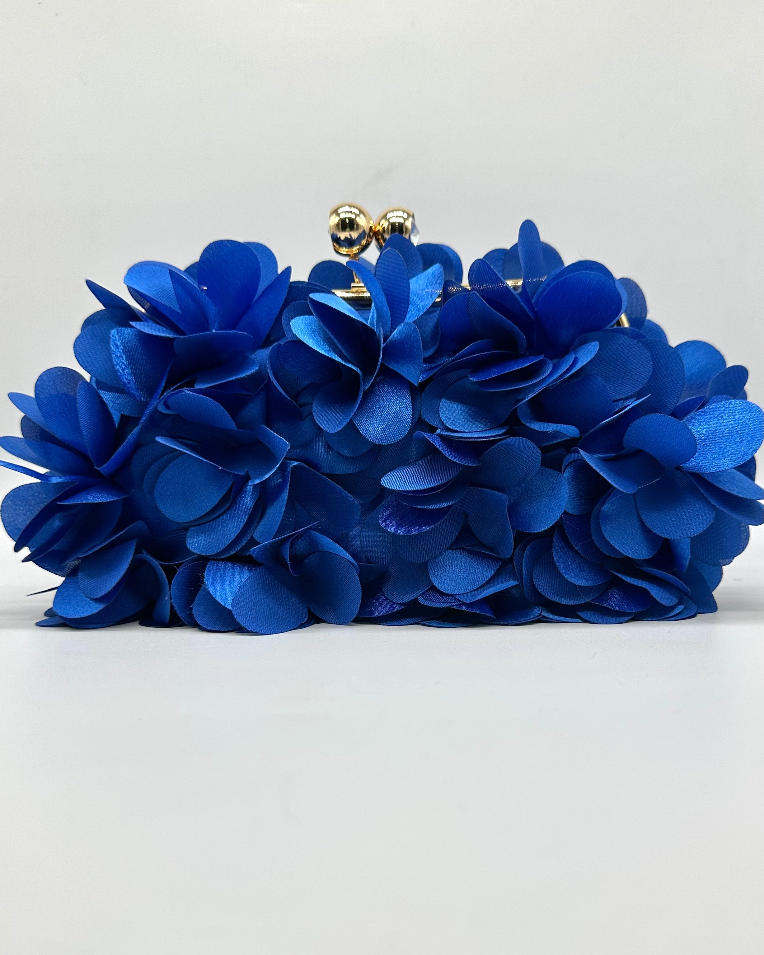 Bolso de fiesta CV1A272