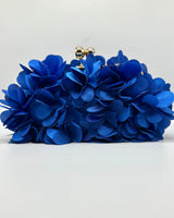 Bolso de fiesta CV1A272