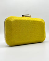 Bolso de fiesta CV1A032