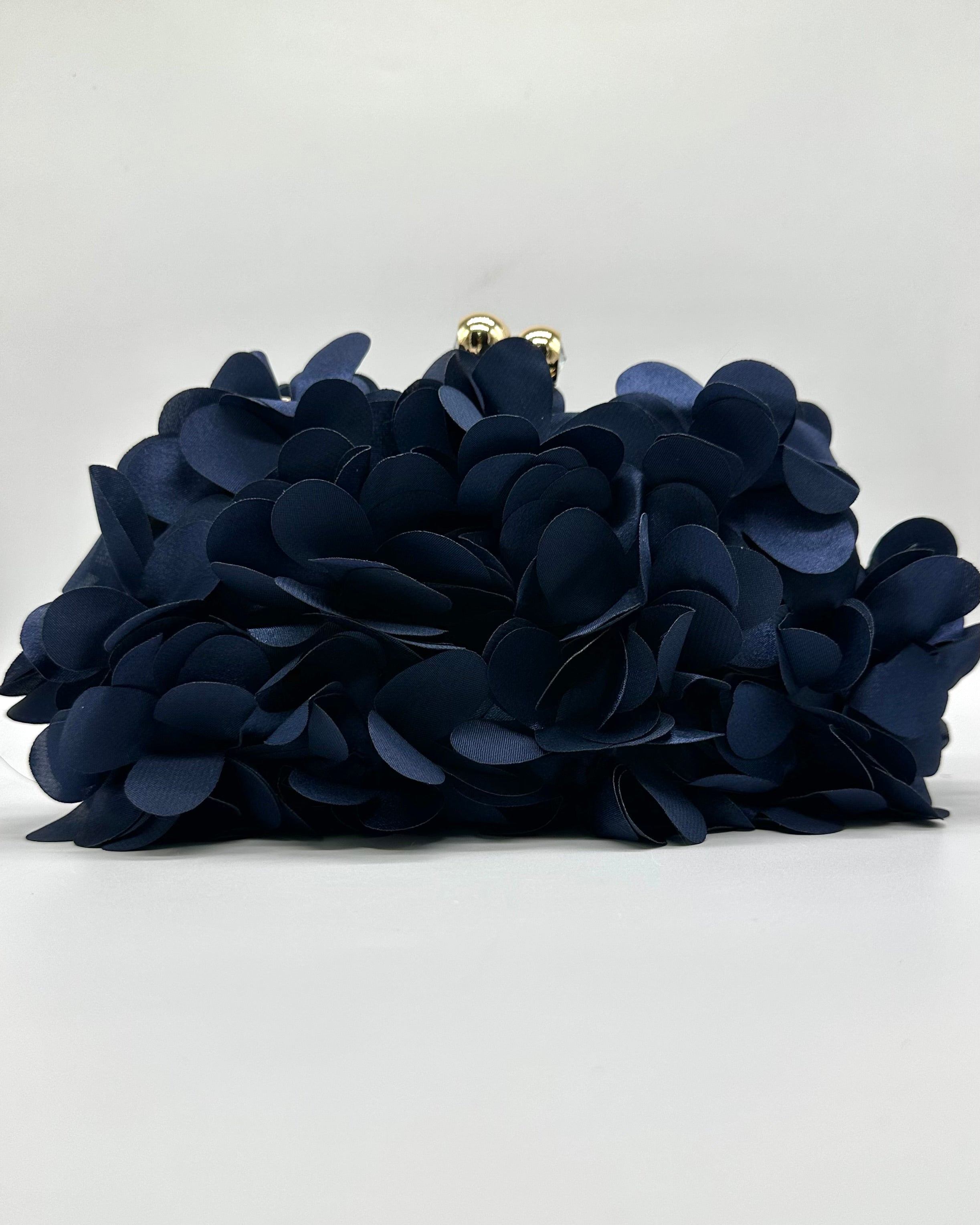 Bolso de fiesta CV1A272