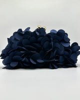 Bolso de fiesta CV1A272