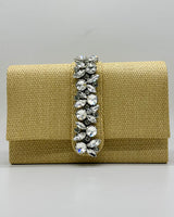 Bolso de fiesta CV1A173