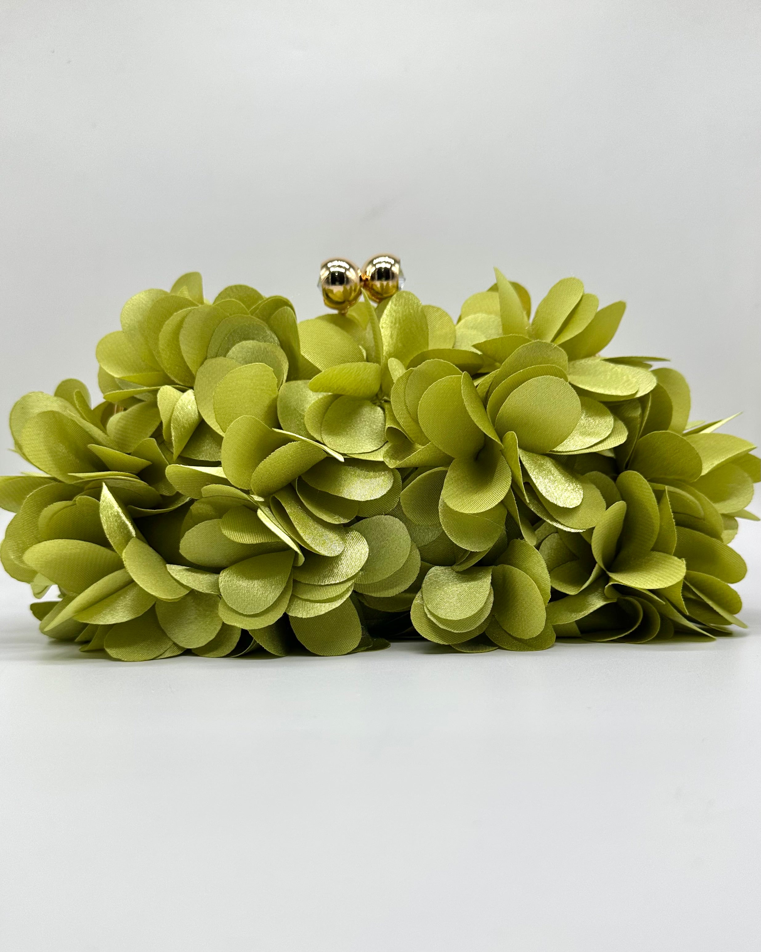 Bolso de fiesta CV1A272