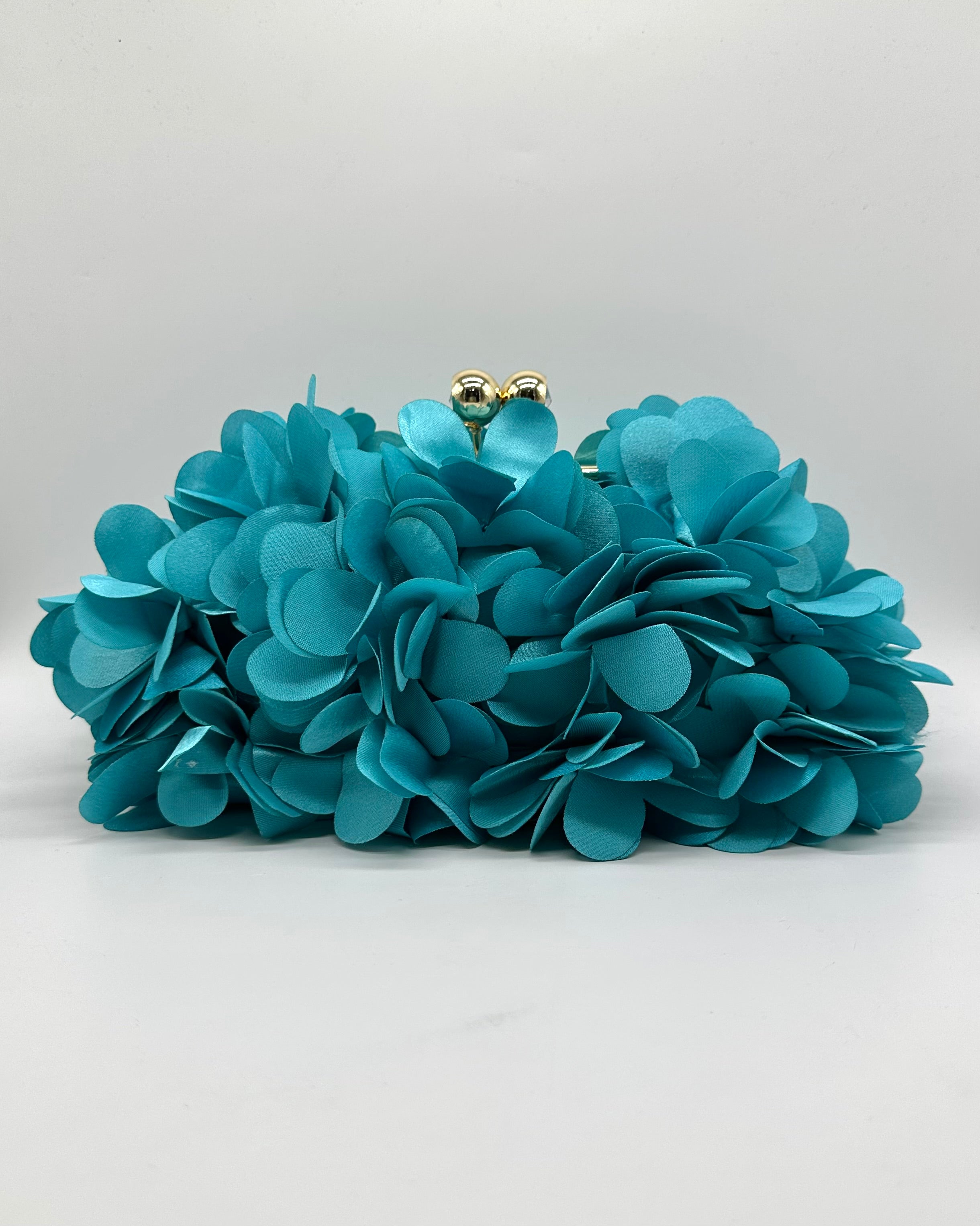 Bolso de fiesta CV1A272
