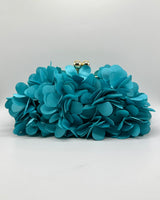 Bolso de fiesta CV1A272