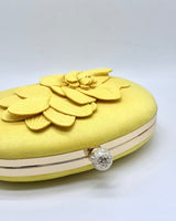 Bolso de fiesta CV1A238