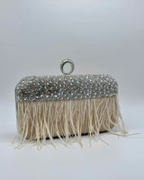 Bolso de fiesta BR4128