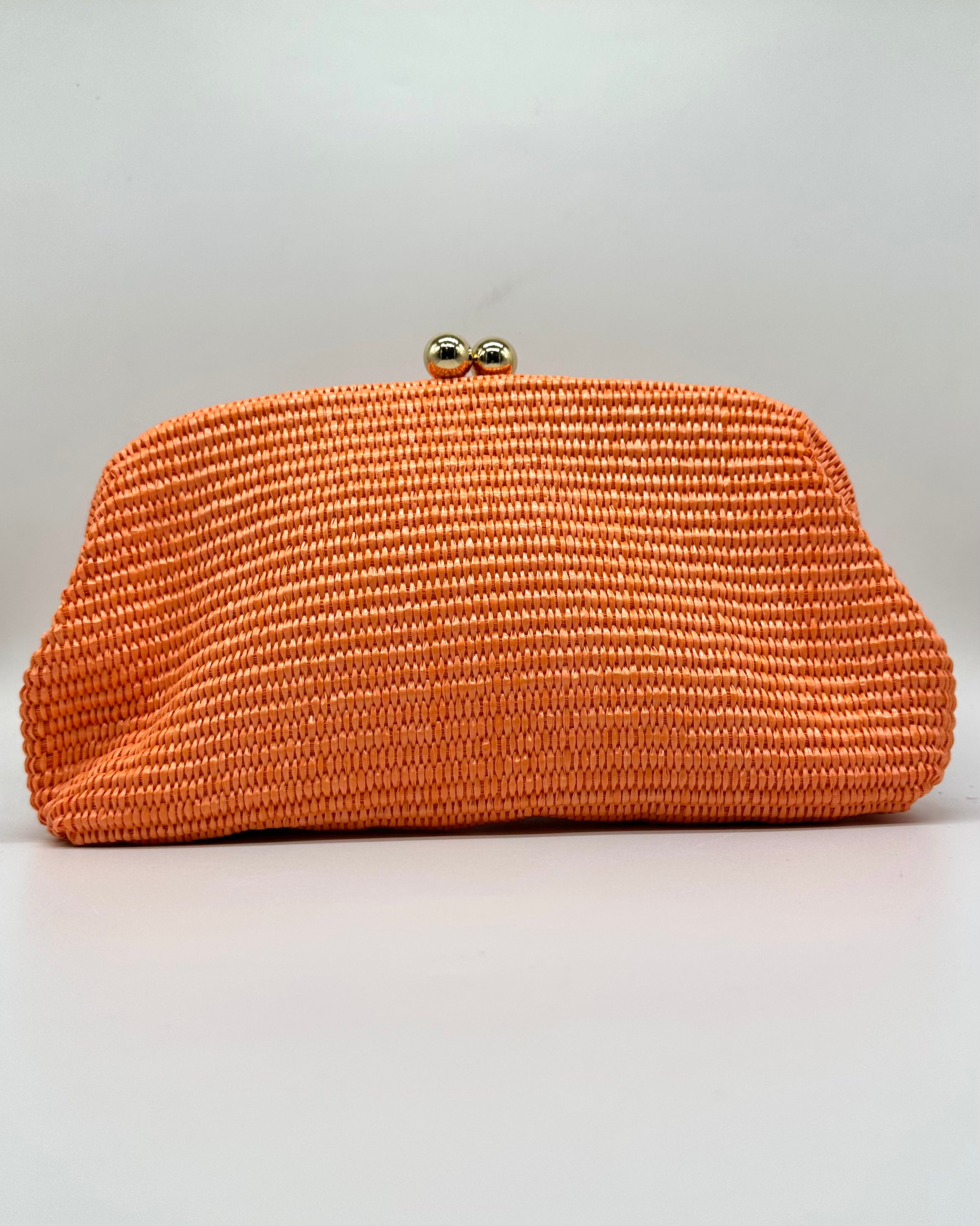 Bolso de fiesta CV1A289