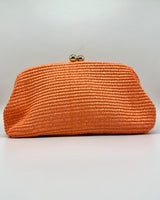 Bolso de fiesta CV1A289