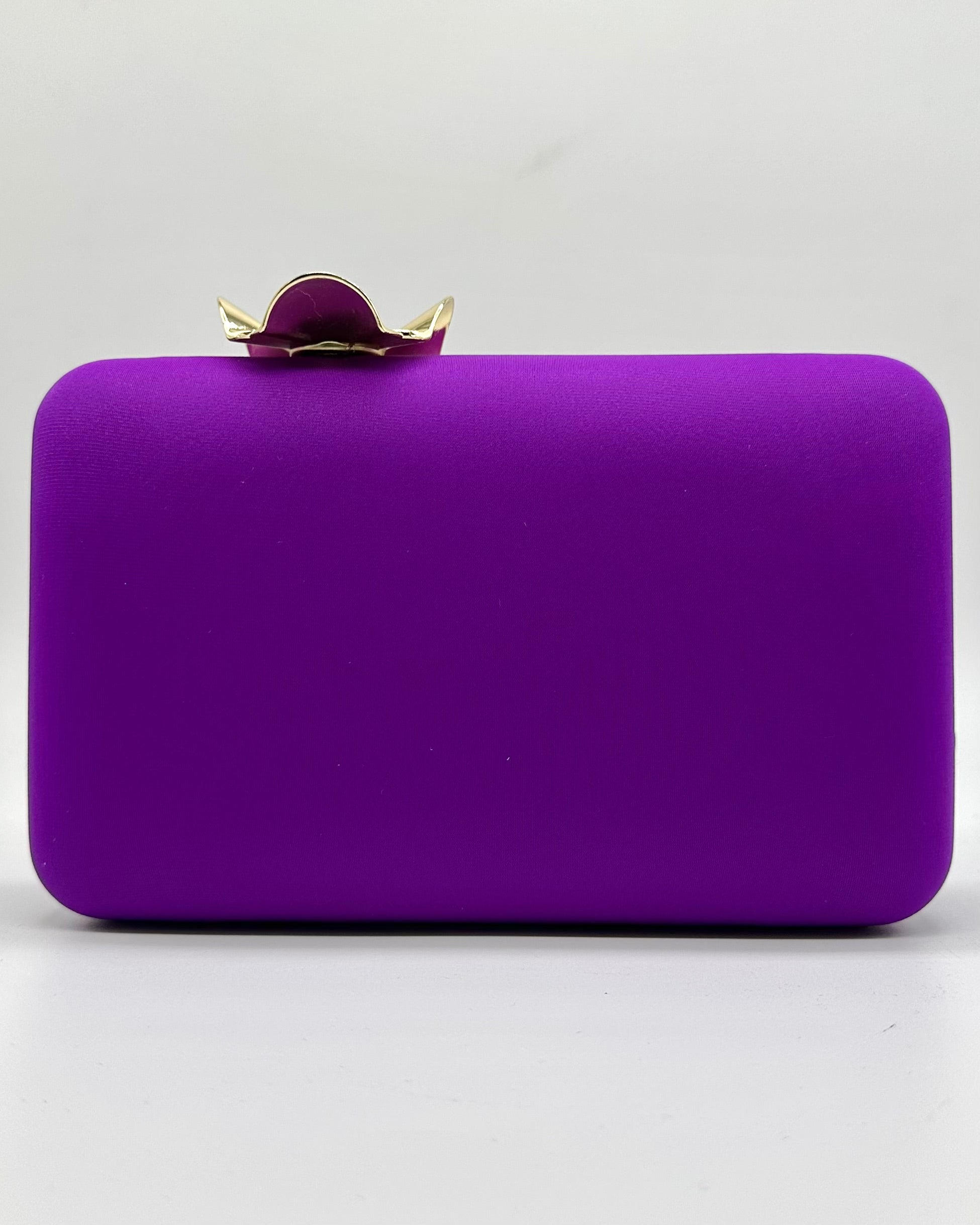 Bolso de fiesta BR4079