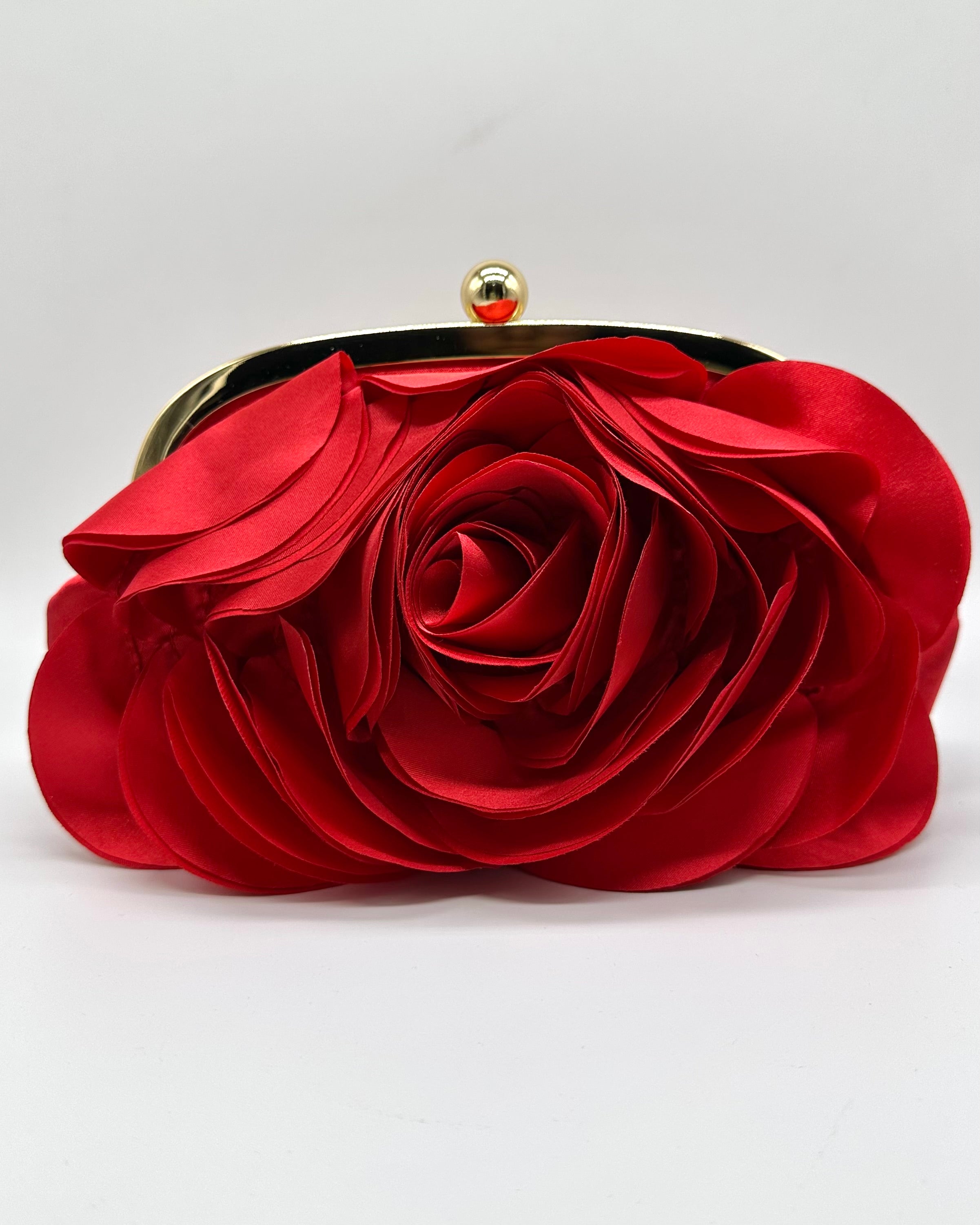 Clutch/bolso YAM4114