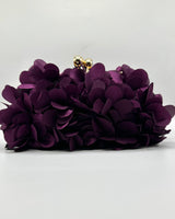 Bolso de fiesta CV1A272