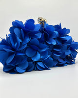 Bolso de fiesta CV1A272