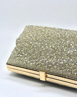 Rhinestone clutch/bags BR4006