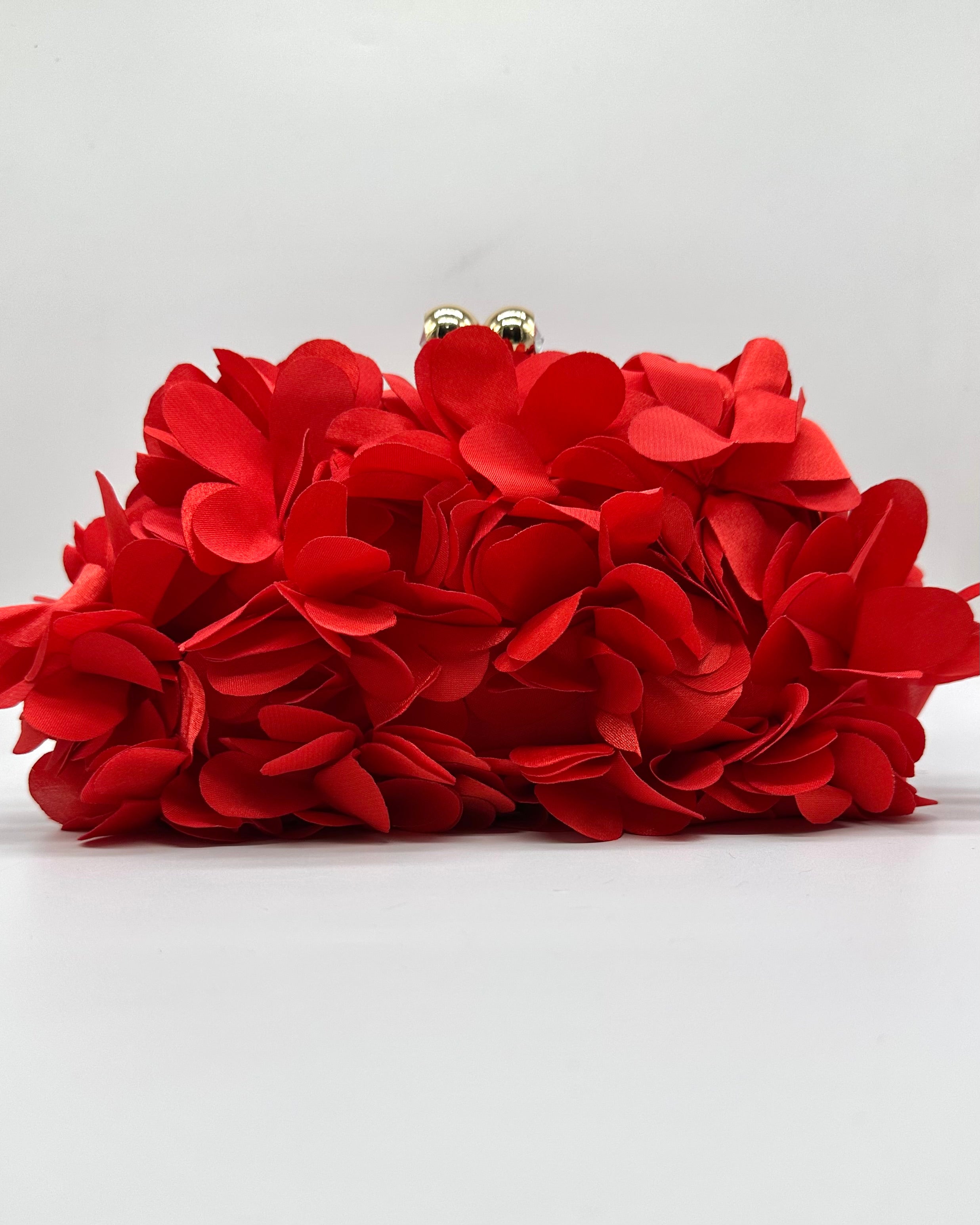 Bolso de fiesta CV1A272