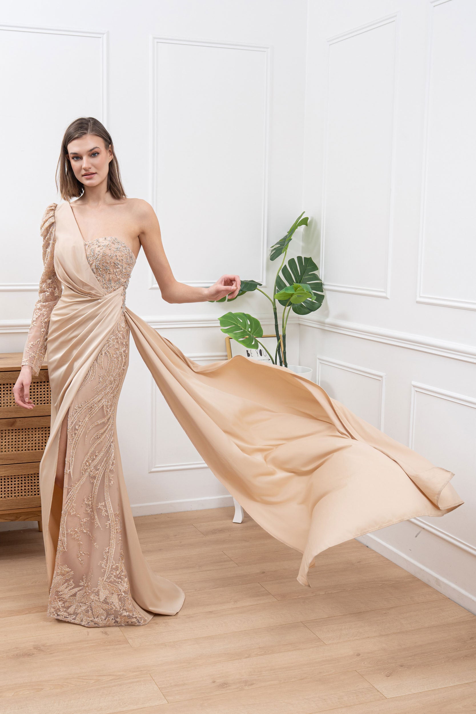Long dress TL-90